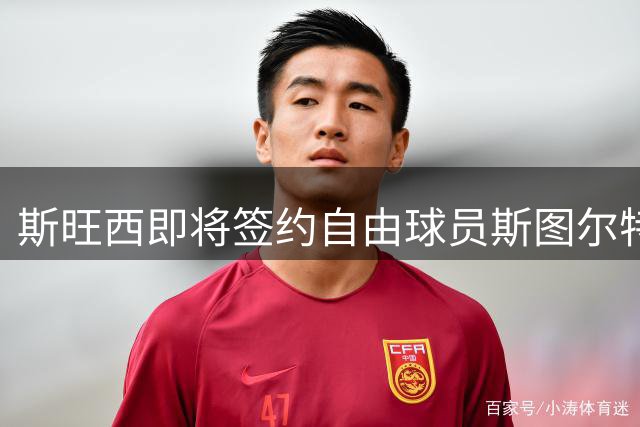 斯旺西即将签约自由球员斯图尔特