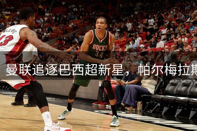 曼联追逐巴西超新星，帕尔梅拉斯拒绝高价放人