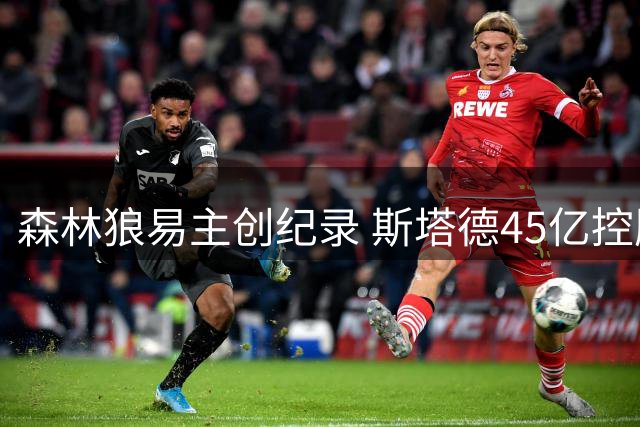 森林狼易主创纪录 斯塔德45亿控股NBA球队